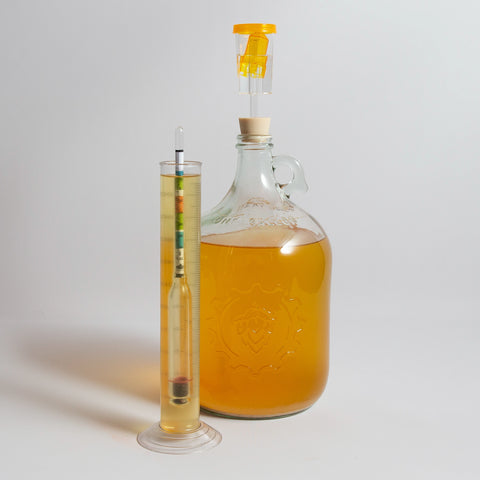 Deluxe Hydrometer Gravity Testing Kit
