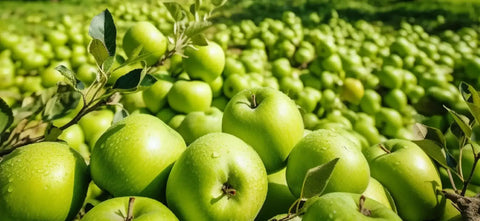 Fresh Apples for DIY Hard Cider