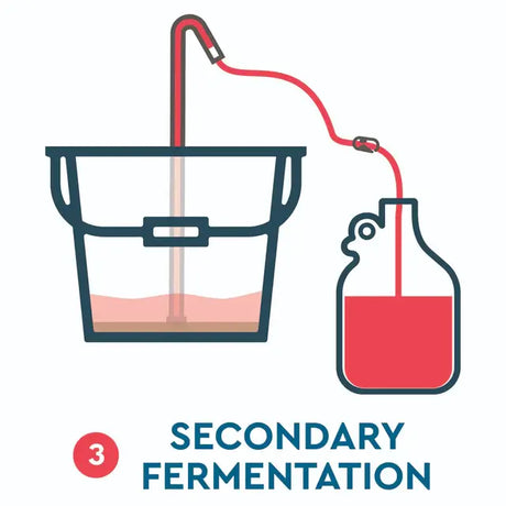 Fruit Wine Process Step 3 from Craft a Brew