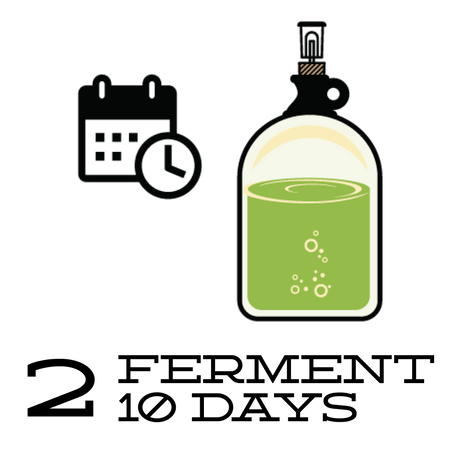 Step 2: Ferment for 10 Days