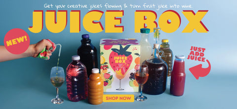 juice box fruit making kit