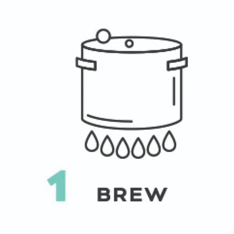 Making Hard Seltzer Step 1: Brew