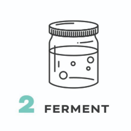Making Hard Seltzer Step 2: Ferment