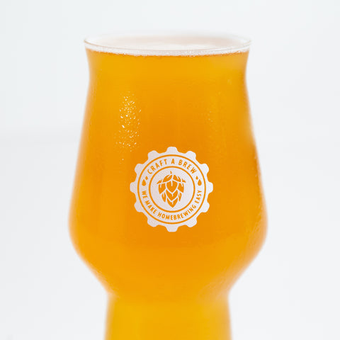 Craft A Brew Tumbler Beer Glass