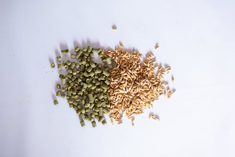 What Is a SMaSH Beer? A Guide to Single Malt & Single Hop Brewing