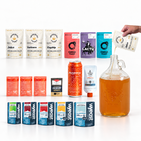 Liquid Yeast vs Dry Yeast: Which Should You Use for Homebrewing?