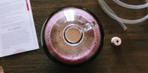 Can You Brew Without Yeast? Wild vs Commercial Yeast