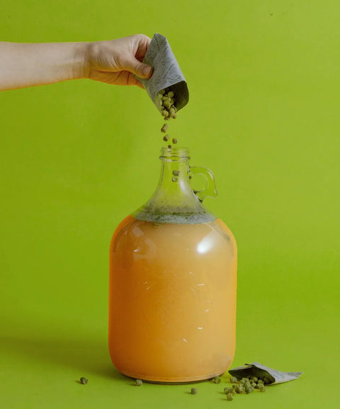 Dry Hopping vs Wet Hopping: What’s the Flavor Difference?