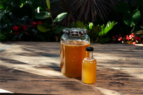 kombucha fermentation