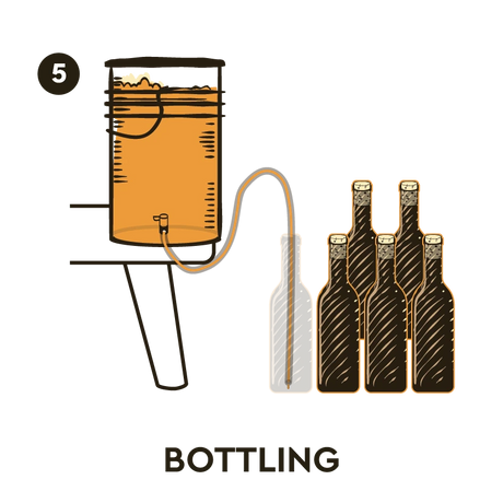Basic Mead Making Process 5 Gallon Mead Kit | Large Batch Honey Wine Kit