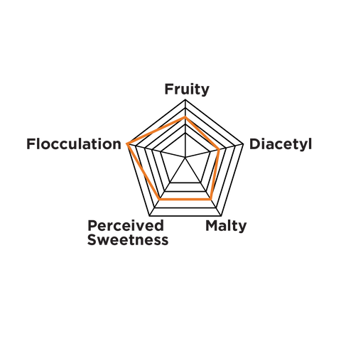 White Labs Yeast | WLP002 English Ale | PurePitch® Next Generation