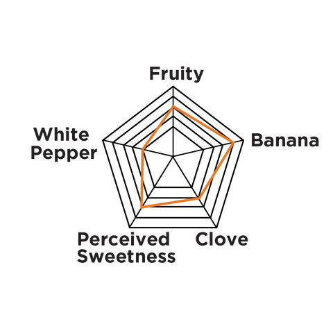 White Labs Yeast | WLP300 Hefeweizen Ale | PurePitch® Next Generation