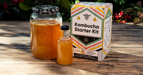 Kombucha Home Kit - Fermented Tea Company