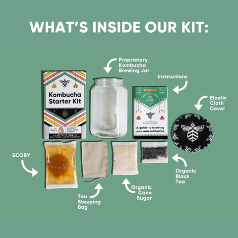 Inside the Craft a Brew Kombucha Starter Kit