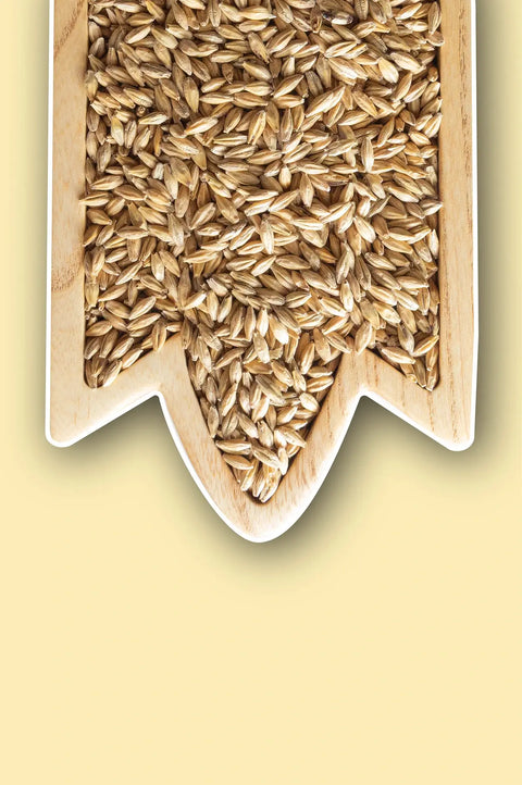 Base Malts