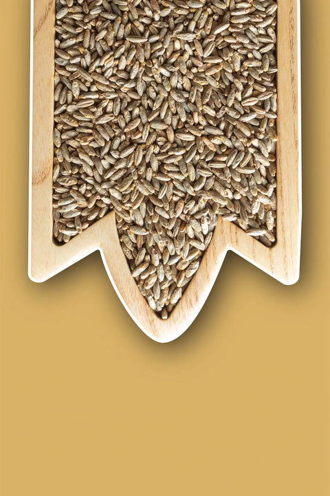 Specialty Malts