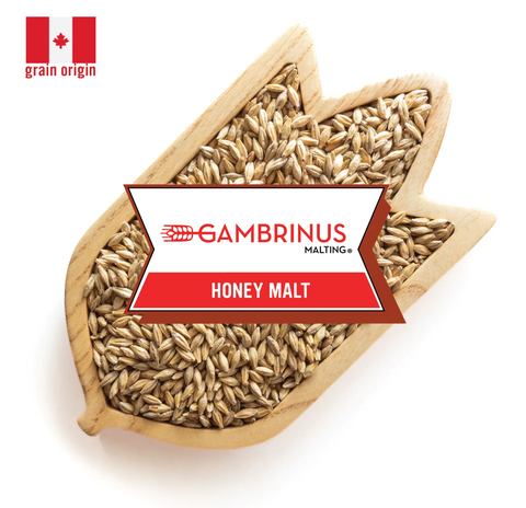 Honey Malt - Gambrinus