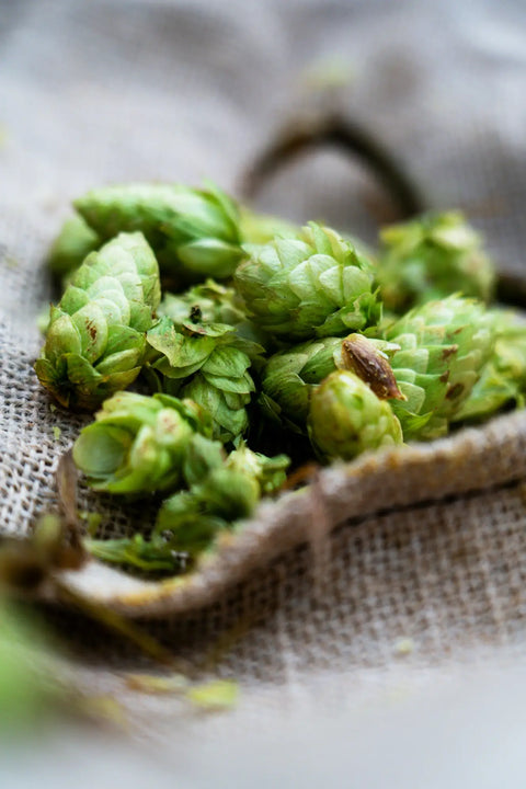 hops for IPA