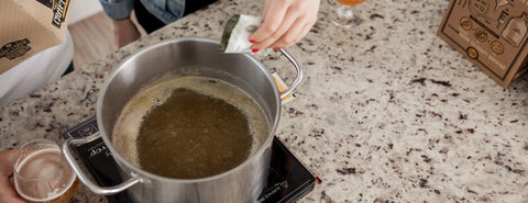 Making IPA with the Craft a Brew IPA Making Kit