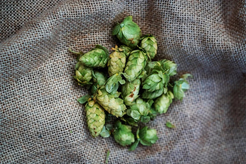 Hops for IPA