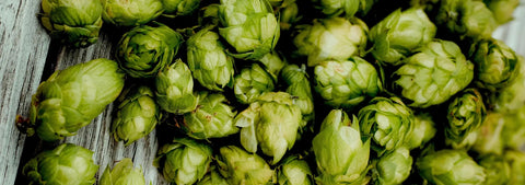 Making IPA with the Craft a Brew IPA Making Kit
