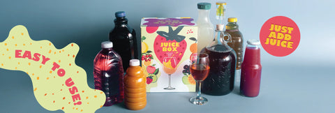 Making Fruit Wine with the Craft a Brew Fruit Wine Making Kit
