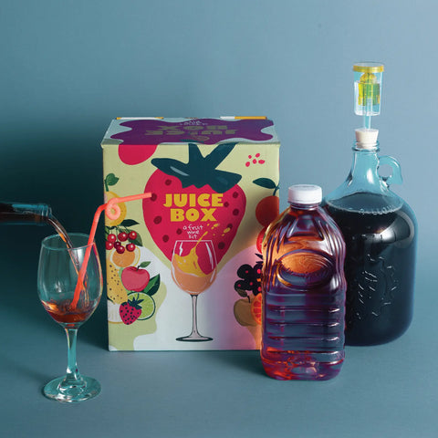 Juice Box Fruit Wine Kit from Craft a Brew