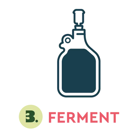 Steph 3: Ferment