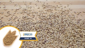 Caramel 40L Malt - Briess