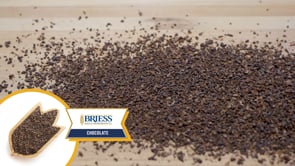 Chocolate Malt - Briess