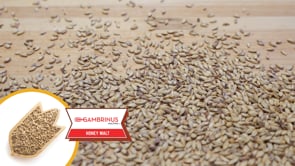 Honey Malt - Gambrinus