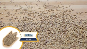 Rye Malt - Briess
