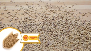 Caramunich Type 1 Malt - Weyermann