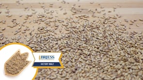 Victory Malt - Briess
