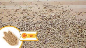 Vienna Malt - Weyermann