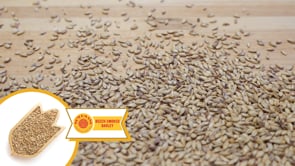 Beech Smoked Barley Malt - Weyermann