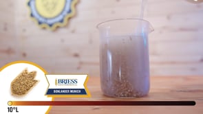 Bonlander Munich Malt - Briess