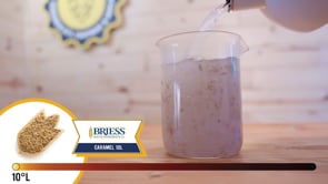 Caramel 10L Malt - Briess