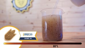 Caramel 80L Malt - Briess