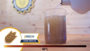 Caramel Munich 60L Malt - Briess