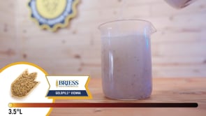 Goldpils Vienna Malt - Briess