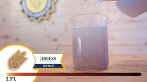 Red Wheat Malt - Briess