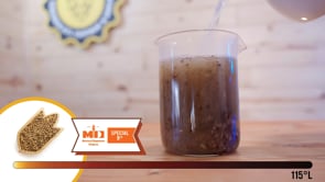 Special B® Malt - Dingemans