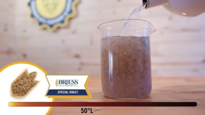 Special Roast Malt - Briess