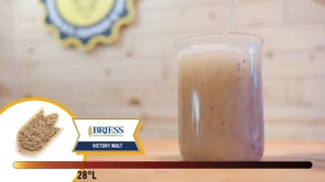 Victory Malt - Briess