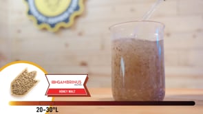 Honey Malt - Gambrinus