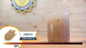 Aromatic Munich 20L Malt - Briess