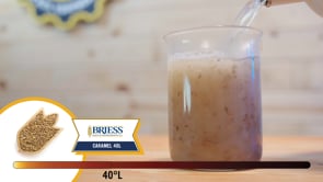 Caramel 40L Malt - Briess