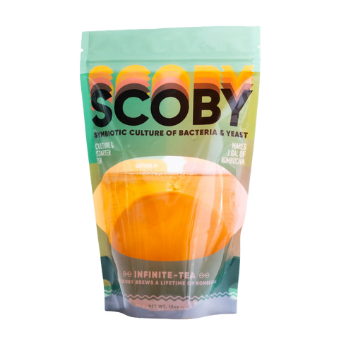SCOBY & Starter Liquid