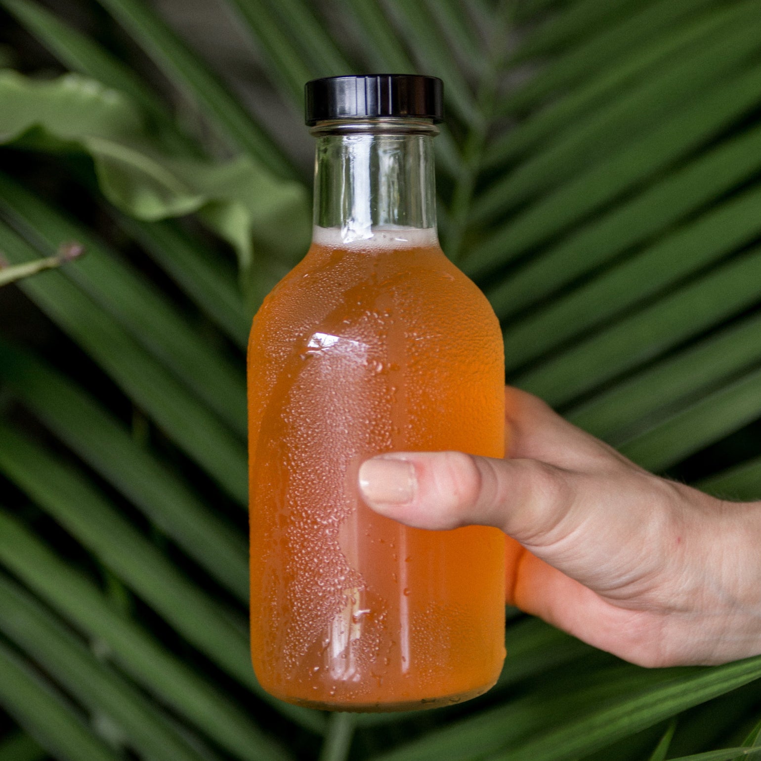 Kombucha Bottling Hard Seltzer Bottles Craft a Brew